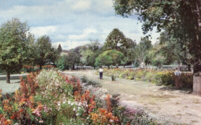 Reel History: Benalla’s Story on Screen